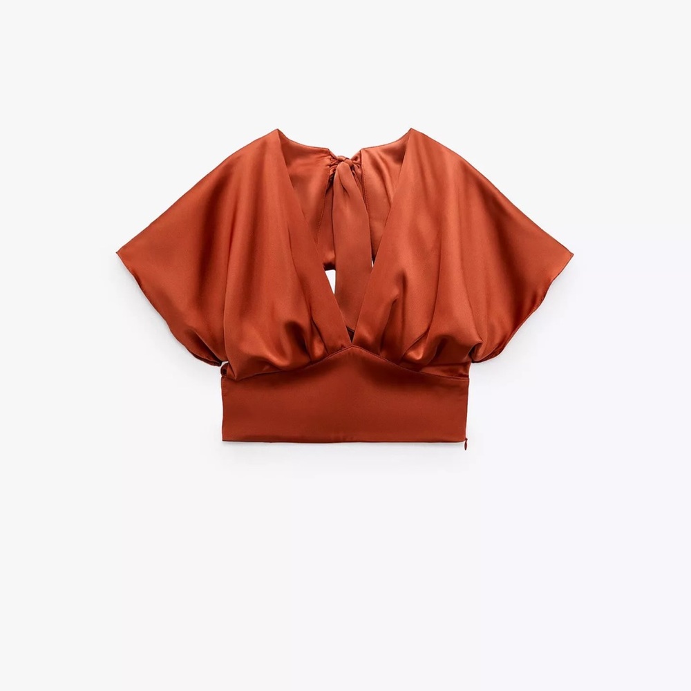Zara Rust Crop Top